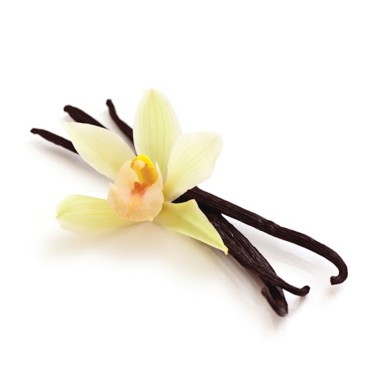 VANILLA FLAVOUR TEG10315289 1 ΛΤ