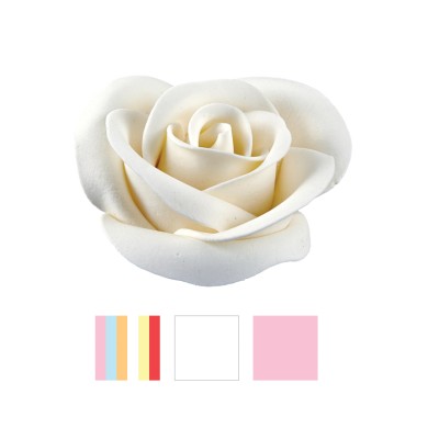 SUGART ΤΡΙΑΝΤAΦΥΛΛΑ ΛΕΥΚΑ (Ε233602)