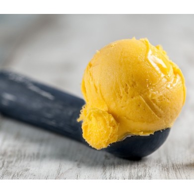 PRONTO MANDARINO SORBET ΜΙΓΜΑ 1.4kg