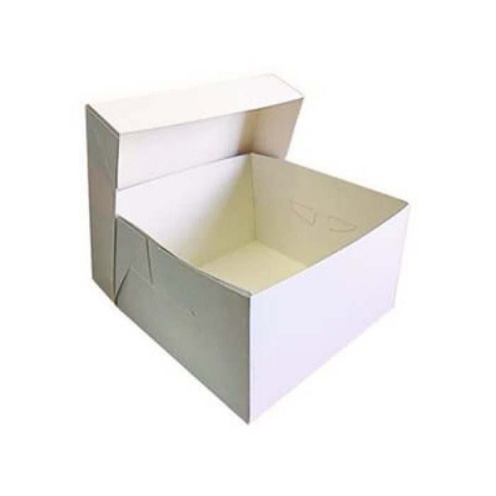 SGW ΚΟΥΤΙ ΜΕ ΚΑΠΑΚΙ SW 30*30*15cm