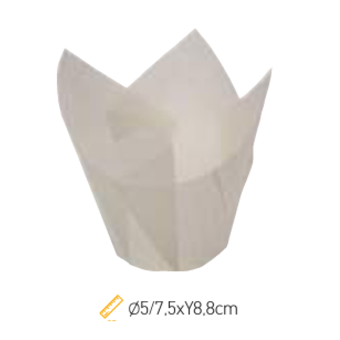 ΦΟΡΜΑ TULIP ΑΤΟΜΙΚΗ ΚΑΦΕ 200TMX